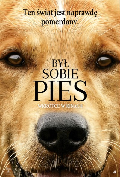 byl sobie pies