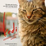 Kino Moskwa – „KEDI. SEKRETNE ŻYCIE KOTÓW”-