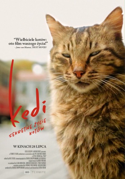 KEDI. SEKRETNE ZYCIE KOTOW