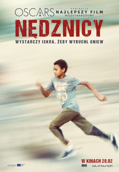 nedznicy